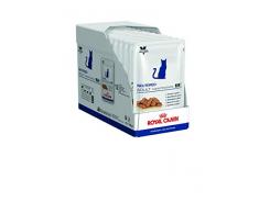 Royal Canin Cat Neutered Adult Maintenance Nourriture pour Chat 100 g - Lot de 12