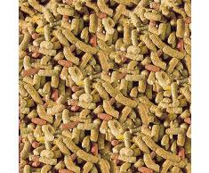 SERA Nourriture pour Reptiles Raffy P 250 ML