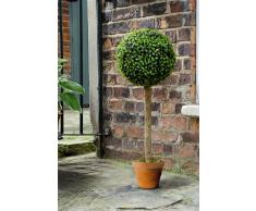 Gardman arbuste taillé en boule