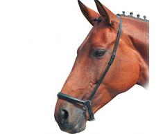 J m ainge and co ltd blenheim-muserolle allemande -