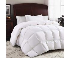 HOMBYS Couette en Plumes doie et Couette en Duvet doie Blanc Couette Naturelle 4 Saisons Couette 220 x 240 cm Duvet Enveloppe Coton Anti-Acariens 10,5 tog Anti-Acariens Douceur Hypoallergénique