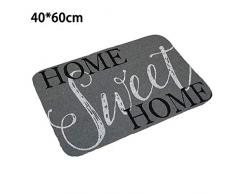 Mayyou Tapis de Porte Dirt Trapper - Tapis de barrière | Tapis dintérieur et dextérieur pour Porte dentrée | Paillassons Super absorbants et antidérapants | 40x60cm