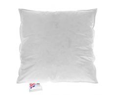 Homescapes – Oreiller ou coussin naturel 40 x 40 Plumes de canard Anti acarien