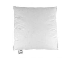 Homescapes Oreiller de luxe 65 x 65 cm en plumes et duvet doie