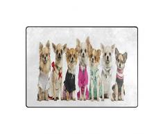 Use7 Tapis Humoristique Chihuahua pour Salon et Chambre à Coucher, Tissu, Multicolore, 203cm x 147.3cm(7 x 5 Feet)