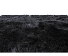 Carpette Tapis Design Peau De Mouton Rectangulaire 150 x 200 cm Carrée Laine Douce (Noir)