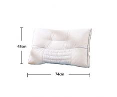 Oreiller de sommeil, Oreiller de sarrasin, oreiller simple en soie, oreiller dorsal cervical (48 x 74cm) (taille : 48x74cm)