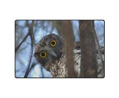 WowPrint Tapis Humoristique et Lavable pour Salle à Manger, Salon, Chambre à Coucher, décoration intérieure, 78 x 50 cm, Multicolore, 78 x 50 cm