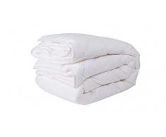 BlanrÃªve CTSANTC042624 Couette Anti-Acariens Phytopure 260 x 240