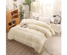 Aopoy AB Mise en Page Cachemire dagneau lhiver Couette, Courtepointe dautomne et dhiver Chaude et épaisse, Anti-acariens Anti-Allergique édredon-E_220 * 240cm 8 kg