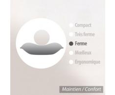 Coussin à recouvrir 50x50 cm garnissage Fibres Polyester Coussin Malin