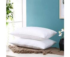 Générique Oreiller en Fibre de Sarrasin en Coton Doux Confortable pour Votre Cou, Oreiller en Plumes Blanches, Single 48X74