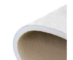 Ruchen Tapis coloré Humoristique pour Le Salon, la Maison, 80 x 58 inch