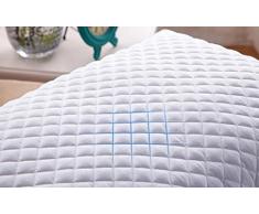 Yyzhentou Oreiller Sarrasin Oreiller, Sain Respirante/Efficace Support/Double Fermeture À Glissière/Confortable/Sarrasin Shell/Un 28x48cm, Oreiller Taille Standard, (Size : 37x56cm)