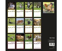 Calendrier mural Animaux de la ferme 2018