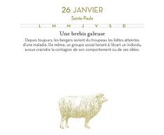 365 expressions quotidiennes: EPHEMERIDE PERPETUELLE