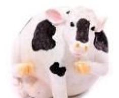 TIRELIRE VACHE NORMANDE