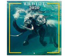 Calendrier mural 2020 pour la maison ou le bureau, 30x30 cm - Faune