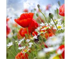 Sticker Boite aux lettres Champ de Coquelicots 30X30cm SABAL0032 (1 sticker boite aux lettres)