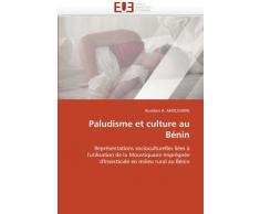 Paludisme et culture au Bénin: Représentations socioculturelles liées à l'utilisation de la Moustiquaire Imprégnée d'Insecticide en milieu rural au Bénin