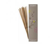 Encens Indiens Esprit de thé, Esteban