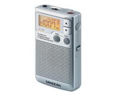 Sangean DT-250 Radio digitale stéréo AM/FM Haut-parleur intégré Horloge Argent