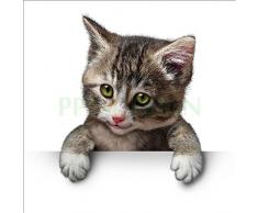 Sticker Boite aux lettres Chat 30X30cm SABAL0077 (1 sticker boite aux lettres)