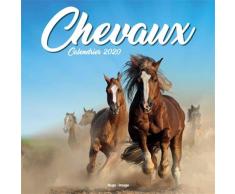 Calendrier mural Chevaux 2020