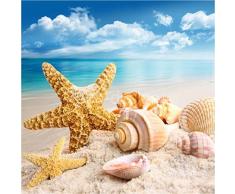 Sticker Boite aux lettres Plage Etoile de Mer 30X30cm SABAL0125 (1 sticker boite aux lettres )