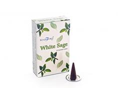 Stamford Cône dencens Sauge Blanche, 12 x Lot de 15