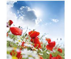 Sticker Boite aux lettres Champ de Coquelicots 30X30cm SABAL0148 (1 sticker boite aux lettres )