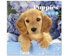 Erik - Calendrier Mural 2020 Chiens - Simon K. & Greg C. - 30 x 30 cm