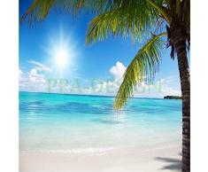 Sticker Boite aux lettres Ile Paradisiaque 30X30cm SABAL0022 (1 sticker boite aux lettres)