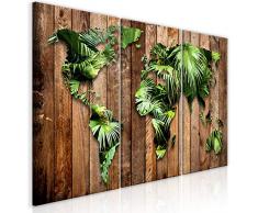 murando Impression sur Toile intissee World Map 120x60 cm 3 Parties Tableau Tableaux Decoration Murale Photo Image Artistique Photographie Graphique Jungle Bois k-C-0110-b-e