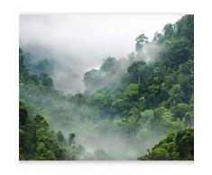 murando Papier Peint Adhésif Jungle 294x210 cm Mural Décoration Feuille Autocollante Stickers XXL Poster Tableaux Muraux Tapisserie Photo Trompe loeil Natur Foret Nébuleuse c-B-0346-a-a