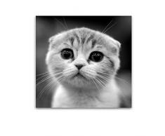 Startonight Impression Sur Verre Acrylique Hello Kitty!, Imprimée Tableau Oeuvre Originale Motif Moderne Décoration Prêt à Accrocher 60 x 60 cm