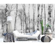 Papier peint mural - Troncs DArbres De Bouleau Des Bois - Thème Forêt et arbres - XL - 368cm x 254cm (LxH) - 4 Parts - Imprimé sur 130g/m2 papier intissé EasyInstall - 1X-1211795V8