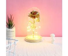99AMZ La Belle Et La Bête Rose Plaqué Or avec Lampe LED en D？me De Verre, Rose Eternelle sous Cloche, pour Mariage danniversaire de la Saint-Valentin Noël Cadeau de fête des mères (D)