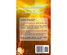 Etoile de Noël: Nouvelle