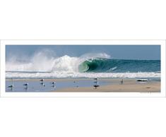 Line Up Surf Pictures Poster de Surf Harbour Left - Affiche 95 cm * 33 cm
