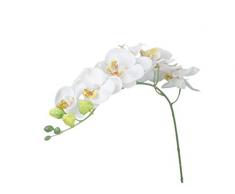 Wiwi. F 1pièce Fleur artificielle Orchidée papillon Home Bouquet Décoration, blanc, same