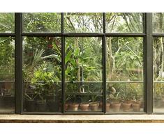 Scenolia Papier Peint IntissÃ© Jardin et Patio Tropical 4 x 2,70m - DÃ©coration Murale Effet Trompe lâOeil - RevÃªtement Panoramique Tapisserie XXL - Pose Facile et QualitÃ© HD