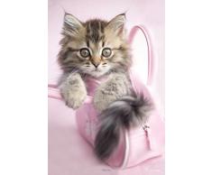 1art1 Chats Poster - Retour dans Le Panier (91 x 61 cm)