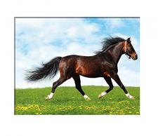 Tableau Fille : Canva Cheval - Robe Baie