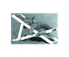 Affiche 30x40 cm Sieste de chat / Cat Nap David Mc ENERY