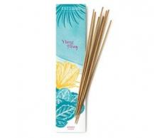 ESTEBAN Encens Indiens Ylang Ylang Nouveauté 20 Bâtonnets sans colle sans colorants
