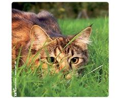 Chats Poster-Sticker Autocollant - Matou À La Chasse (9 x 9 cm)