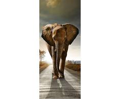 Poster Sticker de Porte Affrontement 85 x 205 cm | Déco Murale Qualité HD Scenolia