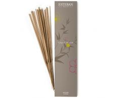 Encens Indiens Esprit de thé, Esteban