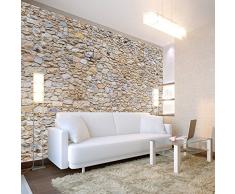 murando Papier peint intissé 400x280 cm Décoration Murale XXL Poster Tableaux Muraux Tapisserie Photo Trompe loeil noyaux mur f-B-0001-a-a